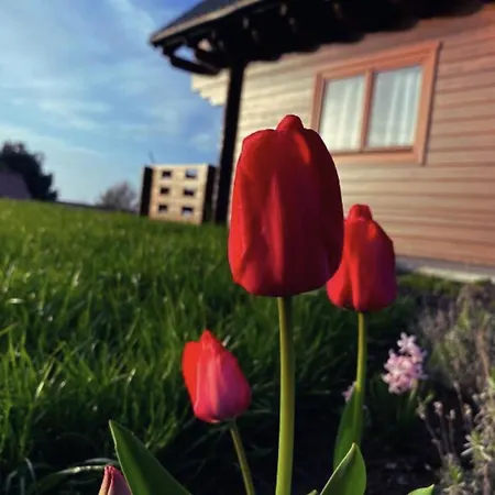 Na Wzgorzu Holiday home